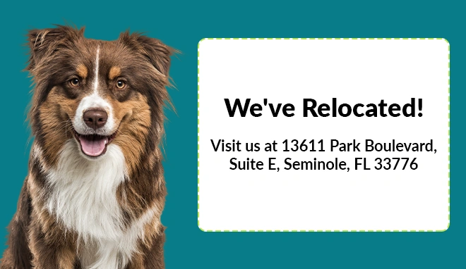 We've Relocated! Visit us at 13611 Park Boulevard, Suite E, Seminole, FL 33776